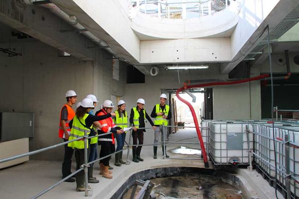 5ca334c986470256000343